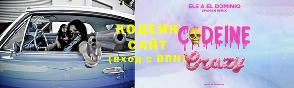хмурый Пересвет