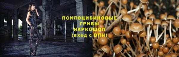 каннабис Алексин